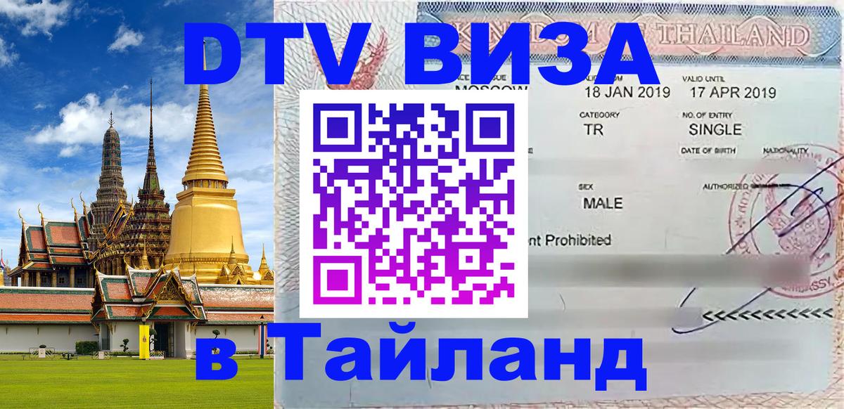 Оформление DTV визы под ключ: стоимость и тарифы, только загранпаспорт - 20.11.2025 